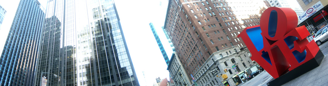 CS wallace's 'Love in the City', New York City, 2008.