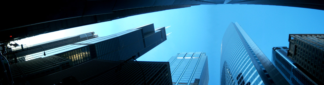 CS Wallace's Sears Tower, Chicago, Illinois, 2008.