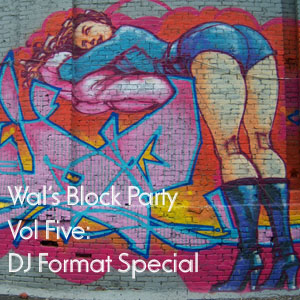 Wals Block Party 5 - a DJ Format Special Mix